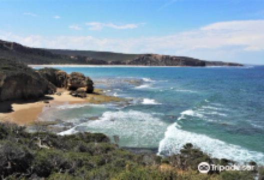 Point Addis Marine National Park景点图片