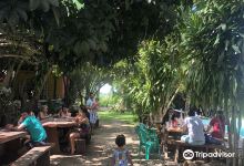 Fazenda Cascata景点图片