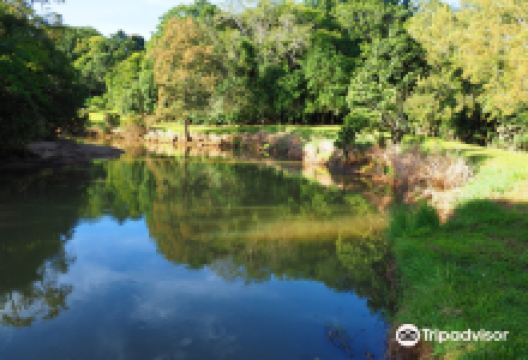 Bonadio's Mabi Wildlife Reserve景点图片
