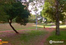 Bosque do Leão景点图片