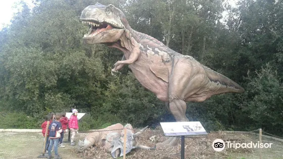 Museo di Storia Naturale del Salento