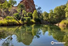 Palm Springs Nature Reserve景点图片