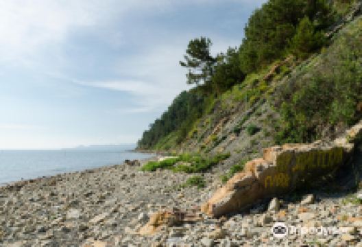 Cape Kadosh景点图片