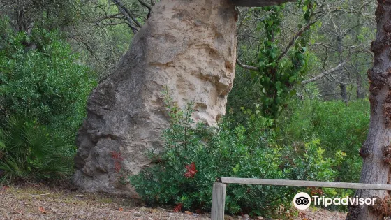 Cuevas de l'Alzinaret