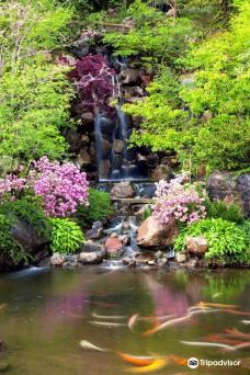 Anderson Japanese Gardens-罗克福德