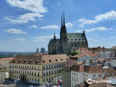 自由广场-布尔诺