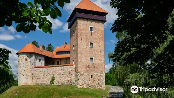 Dubovac Castle