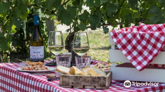 Famiglia Buccelletti Winery