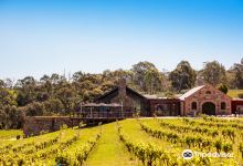 St Hugo Wines景点图片