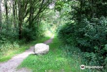 Vala skog naturreservat景点图片