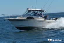 Wild Pacific Charters景点图片