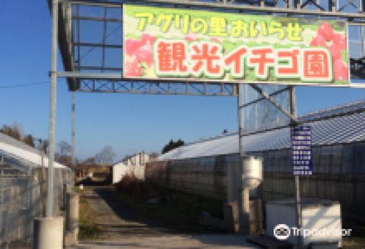 Aguri no Sato Oirase景点图片