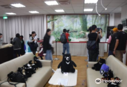 东部台湾黑熊教育馆景点图片