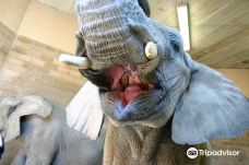 罗杰威廉斯公园动物园-普罗维登斯