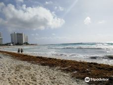 Playa Forum-坎昆