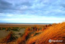 Holkham National Nature Reserve景点图片