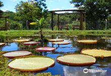 Bauru Municipal Botanical Garden景点图片
