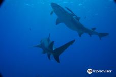 Bora Bora Lagoon Onoku Services-波拉波拉岛