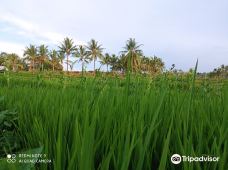 MAHAJANI AGRO-龙目岛