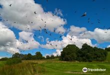 Red Kite Centre景点图片