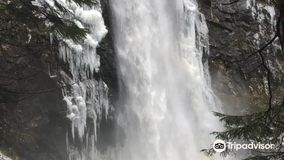 Plodda Falls