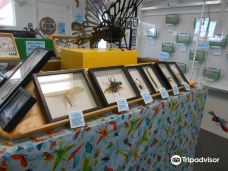 Bremerton Bug Museum-Navy Yard City