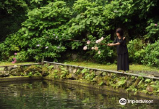 Yano Fishing Park景点图片