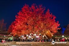 汉诺威动物园-汉诺威