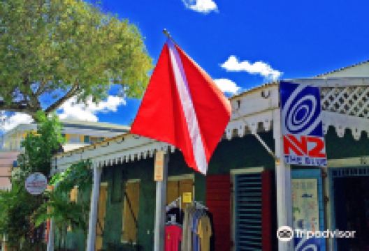 N2theBlue Scuba Diving购物图片