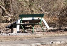 Rondebult Bird Sanctuary景点图片