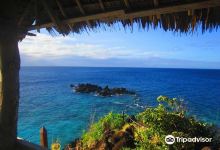 Apo Island View Deck景点图片
