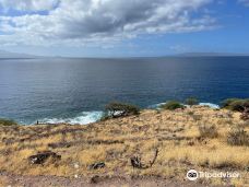 Papawai Scenic Lookout-茂宜县