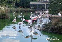 Birdpark Malta景点图片