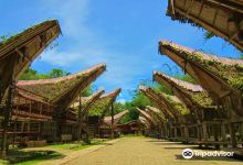 Kete Kesu Village景点图片