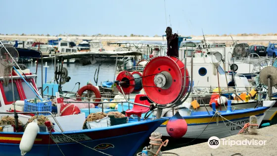 Zygi Marina
