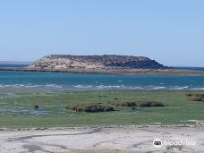 Reserva Natural Isla de los Pajaros-别德马