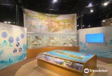 对马野生生物保护中心景点图片