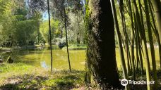 Senorio de Bertiz Natural Park-贝尔蒂萨拉纳