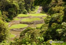Guayabo National Monument景点图片