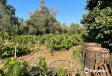 Winery Leivadiotis Corfu景点图片