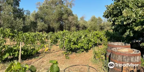 Winery Leivadiotis Corfu