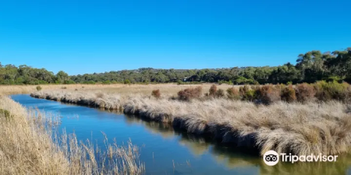 Coogoorah Park Nature Reserve