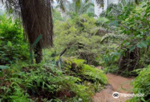 汝莱皇家山景点图片