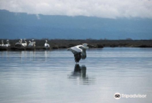 Rodia Wetlands景点图片