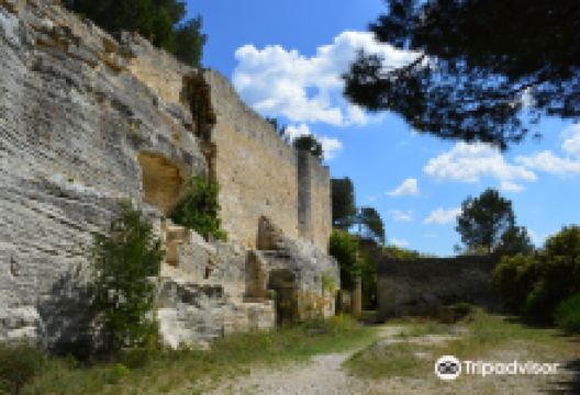 Abbey of Saint-Roman (L'abbaye de Saint-Roman)景点图片