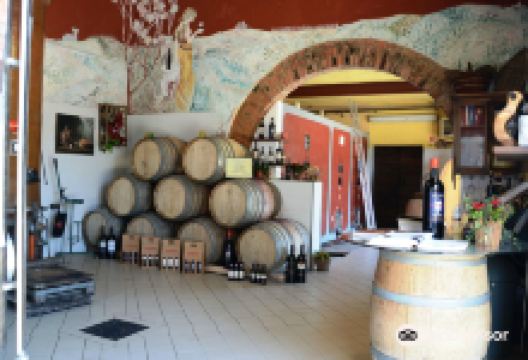 Tenuta Barbadoro景点图片