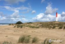 Plage de La Palmyre景点图片