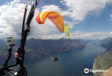 Tandem Paragliding Malcesine景点图片