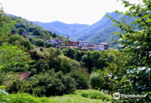 Parque Natural de Ponga景点图片