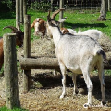 特罗布里奇图片